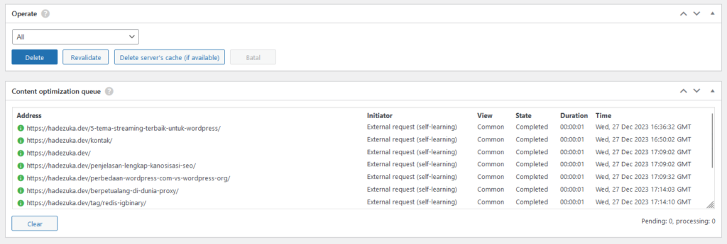Seraphinite Accelerator optimization content 