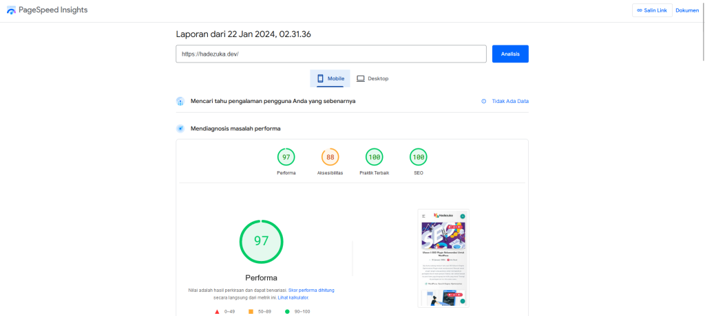 hasil Google PageSpeed Insights