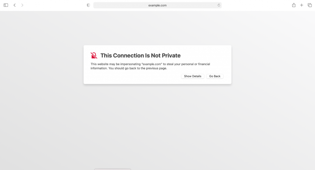 halaman error "This Connection Is Not Private" 