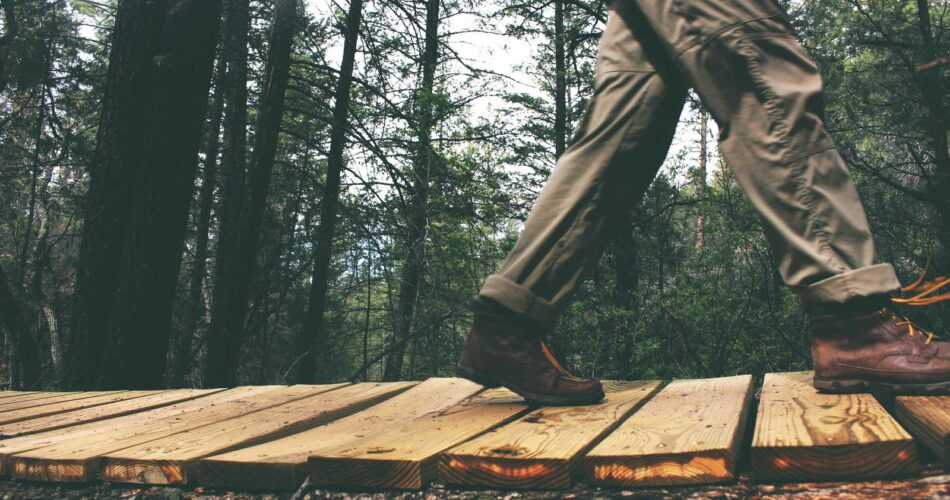 Behavior-based package triage untuk mendeteksi anomali rilis paket software