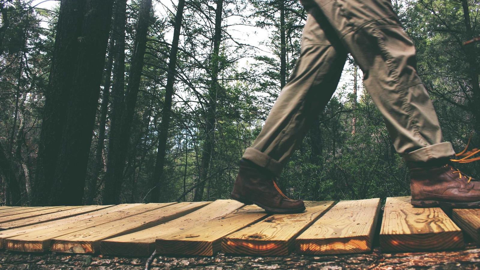 Behavior-based package triage untuk mendeteksi anomali rilis paket software