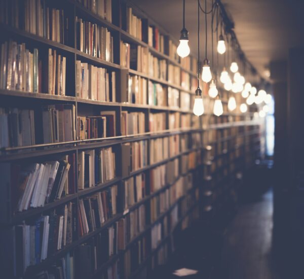Digital archivist working with historical records in a library archive
